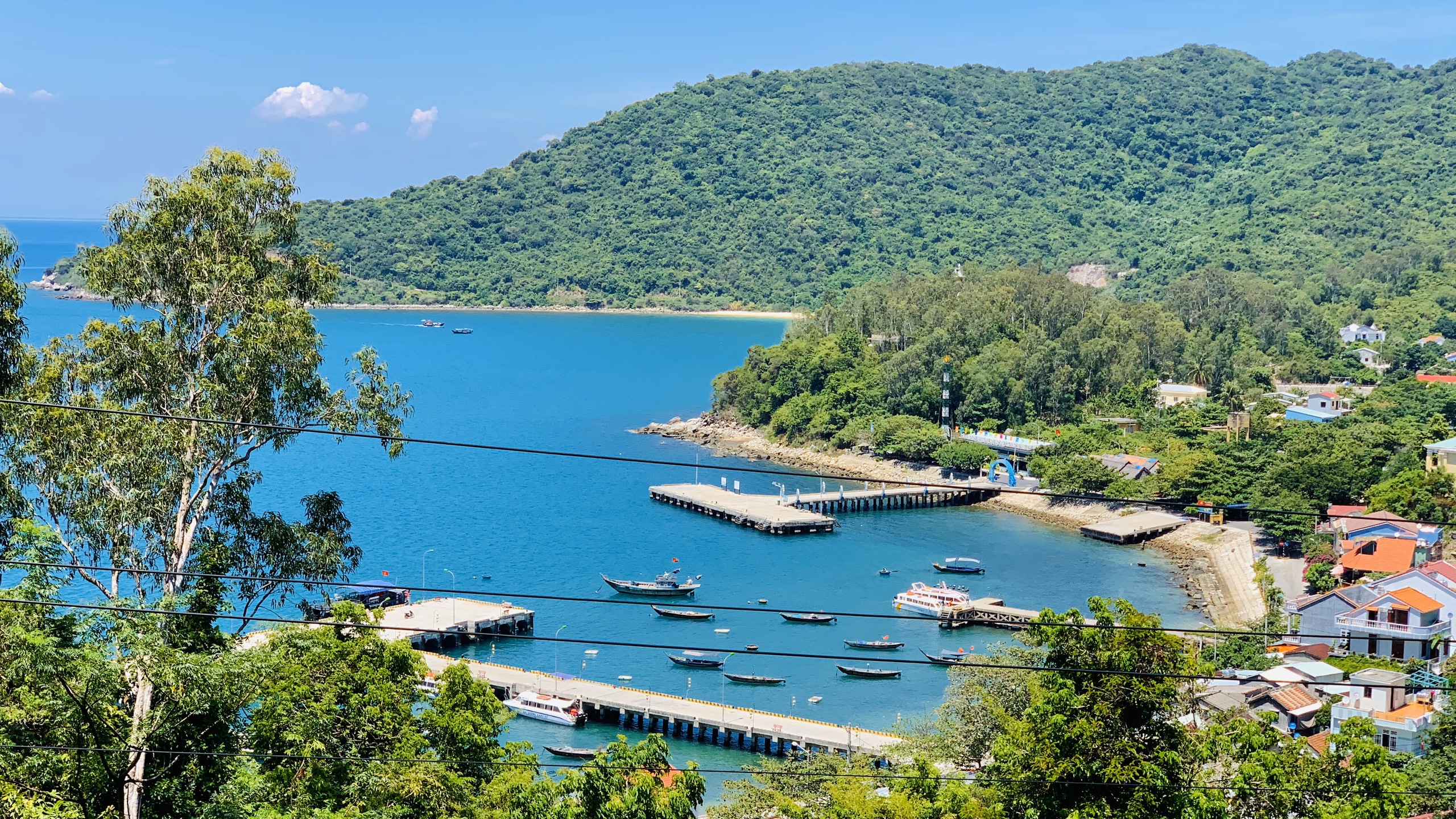 Things to Do in Cham Island Vietnam by Local Experts