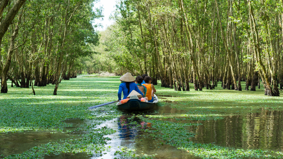 Mekong Delta Vietnam in July: Weather, What to Do & Travel Tips