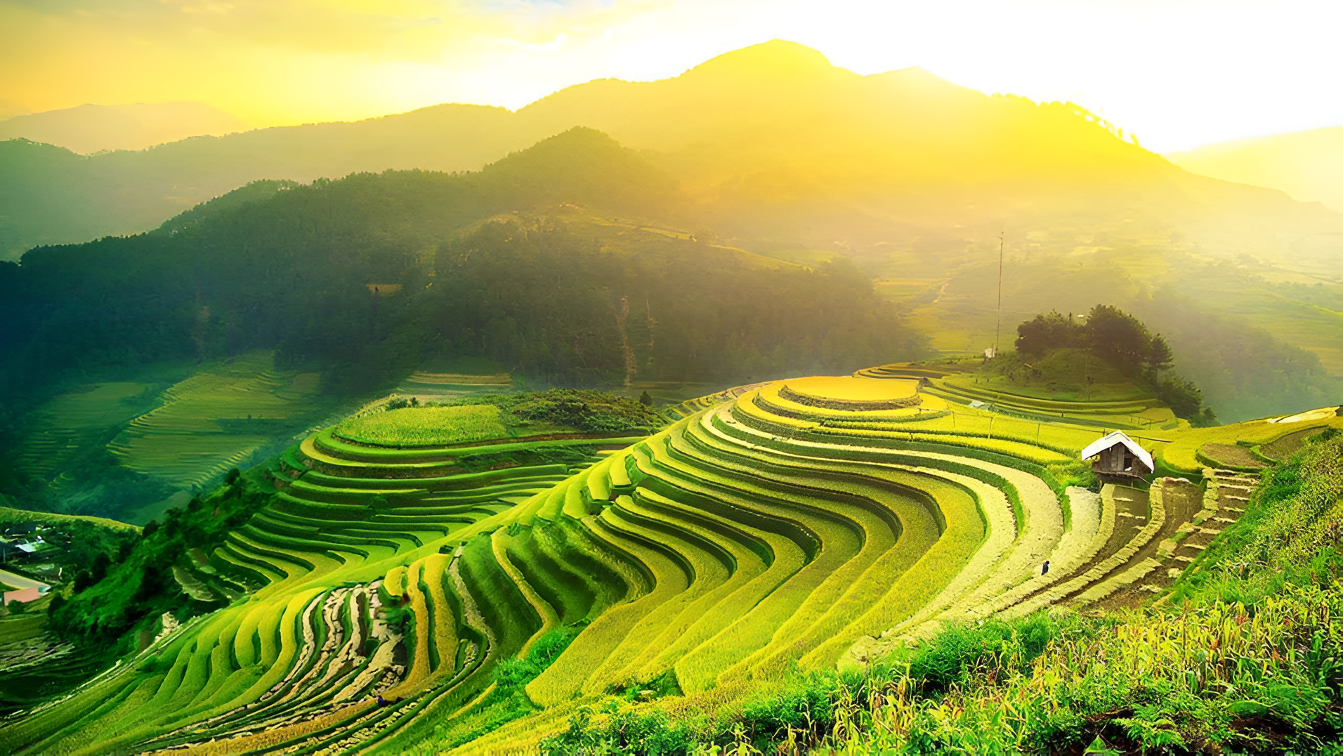 Ha Giang Loop in August: Weather, Road Conditions & Activities